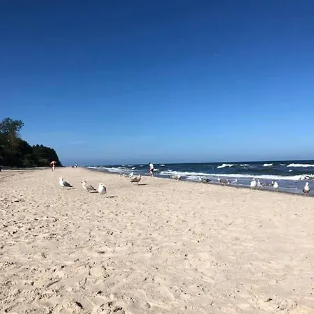 Dla 8 Osob Ok. 120m W Gaski, Wybrzeze Morza Baltyckiego W Polsce