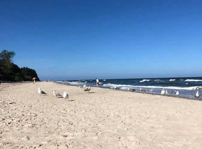 Dla 8 Osob Ok. 120m W Gaski, Wybrzeze Morza Baltyckiego W Polsce